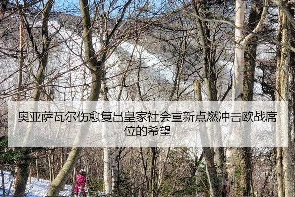 ao-ya-sa-wa-er-shang-yu-fu-chu-huang-jia-she-hui-chong-xin-dian-ran-chong-ji-ou-zhan-xi-wei-de-xi-wang-2-190.jpg